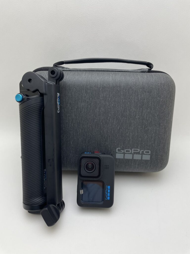 GoPro, Inc. CHDHX-101-FW