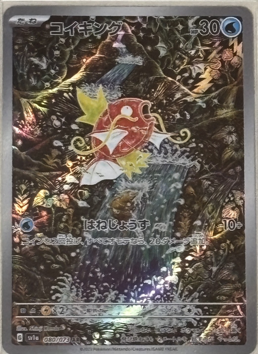 コイキング（AR)